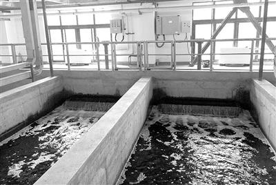 再生水 解鎖城市“第二水源”的關(guān)鍵路徑——污水處理及其再生利用調(diào)研報告