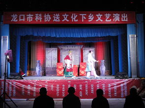 市科協組織開展文化下鄉文藝演出與交流活動，助力鄉村文化振興